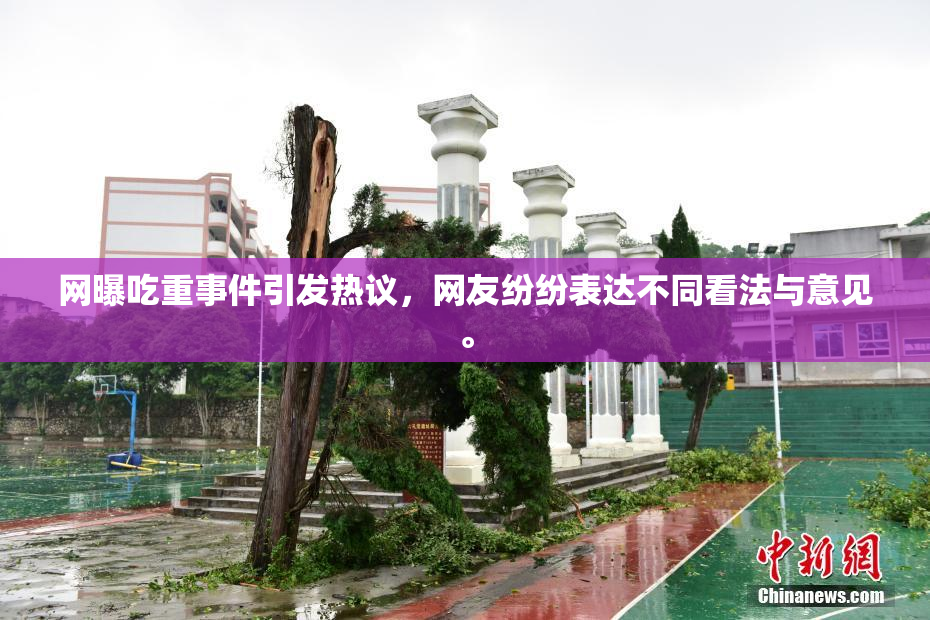 网曝吃重事件引发热议，网友纷纷表达不同看法与意见。