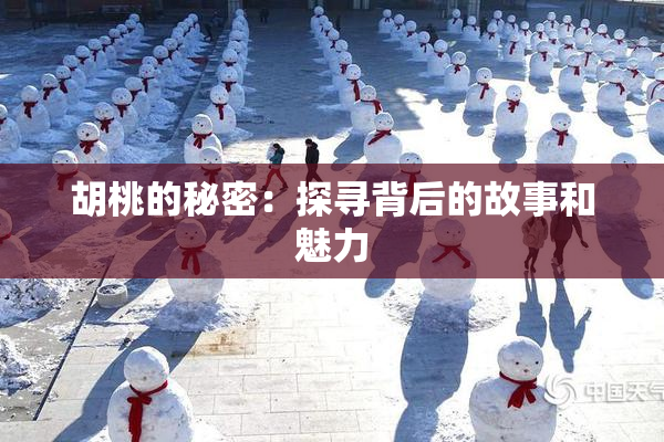 胡桃的秘密：探寻背后的故事和魅力