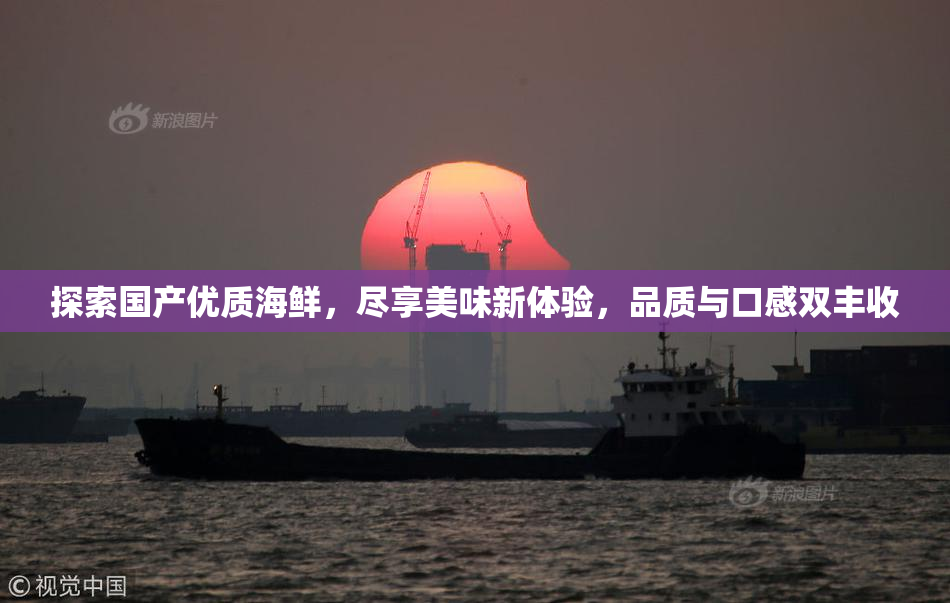 探索国产优质海鲜，尽享美味新体验，品质与口感双丰收