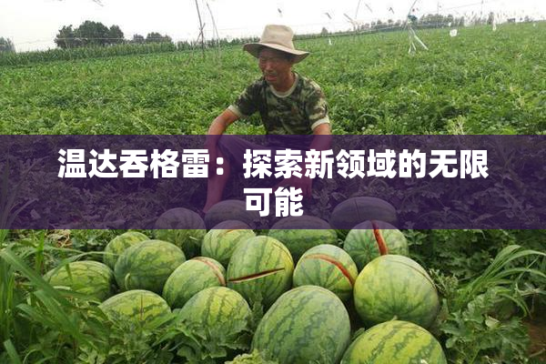温达吞格雷：探索新领域的无限可能