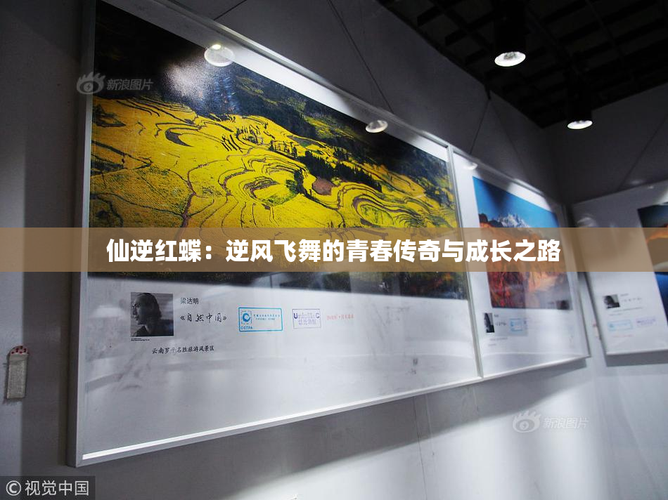 仙逆红蝶：逆风飞舞的青春传奇与成长之路