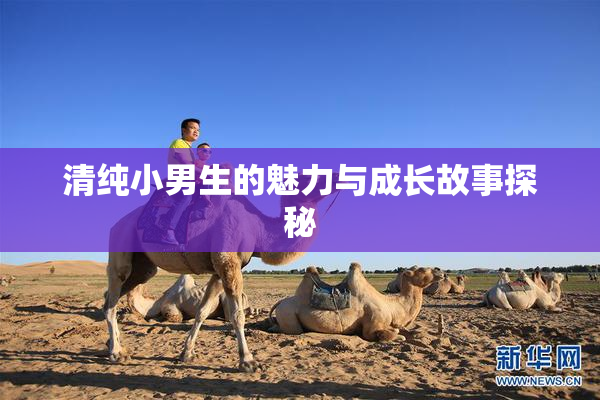 清纯小男生的魅力与成长故事探秘
