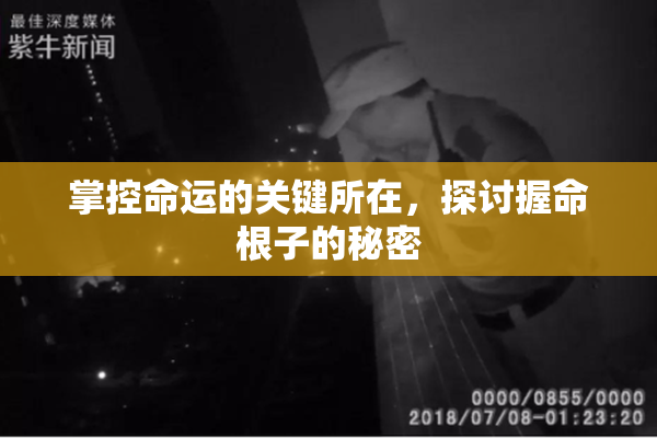 掌控命运的关键所在，探讨握命根子的秘密