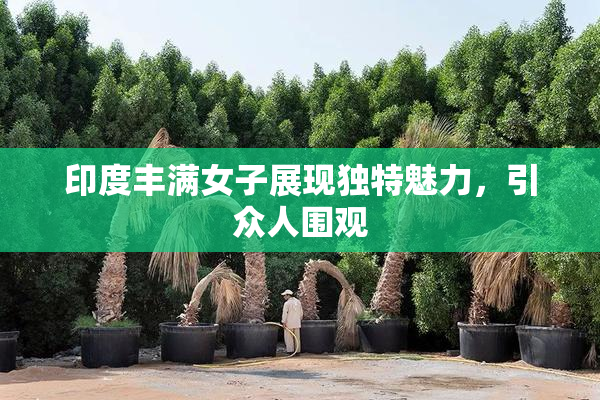 印度丰满女子展现独特魅力，引众人围观