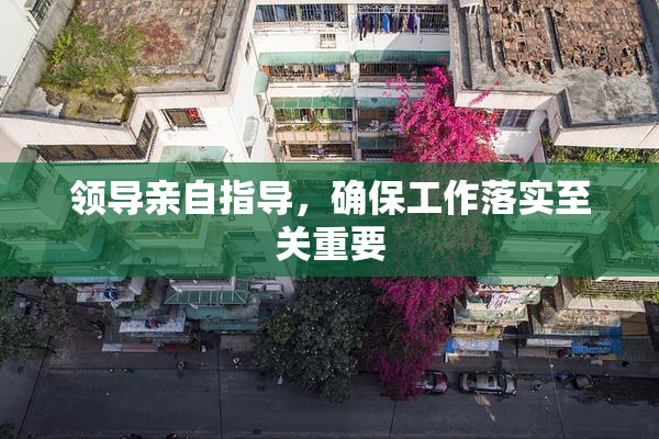 领导亲自指导，确保工作落实至关重要
