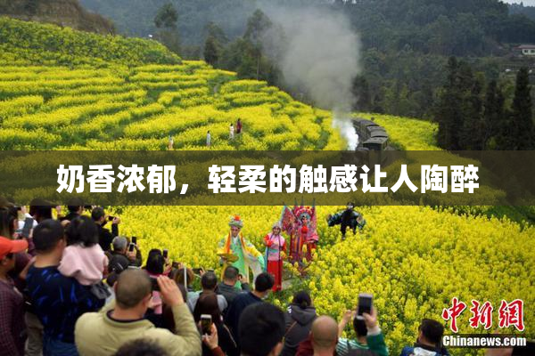 奶香浓郁，轻柔的触感让人陶醉
