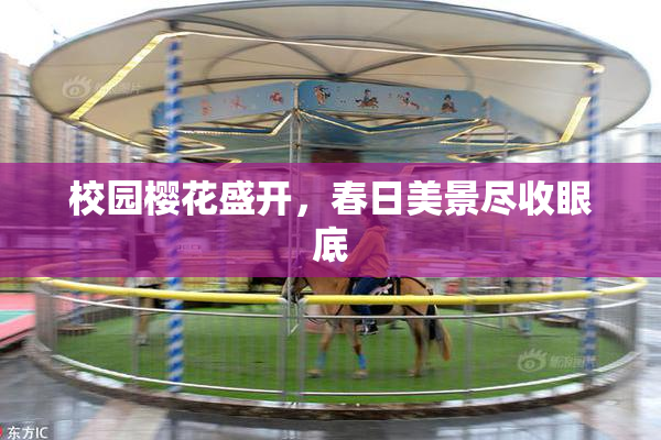 校园樱花盛开，春日美景尽收眼底