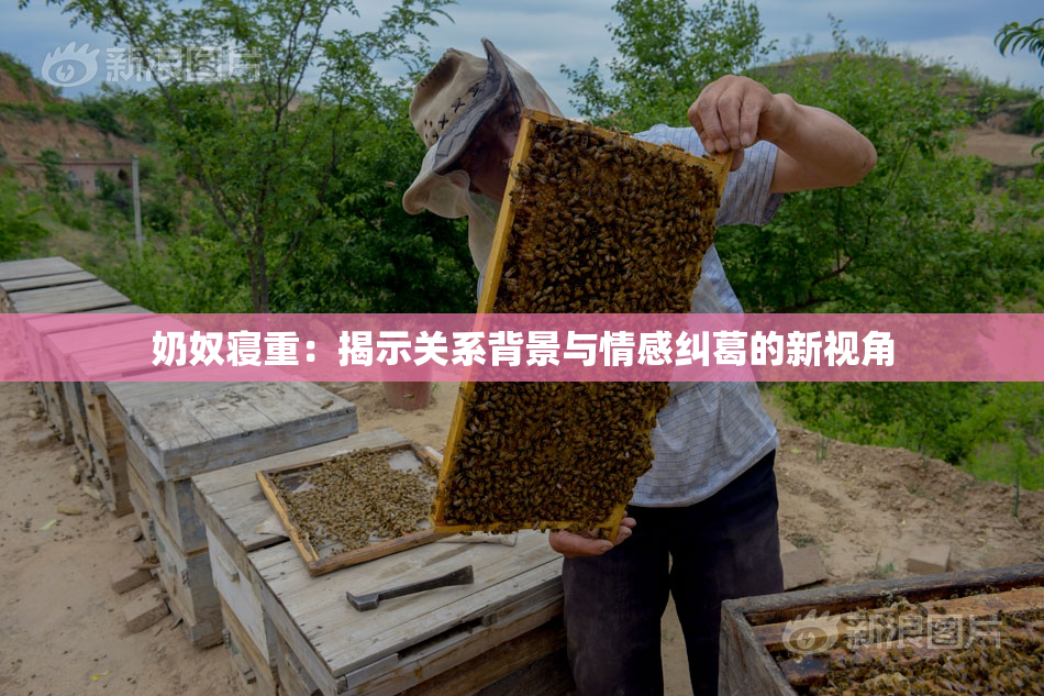 奶奴寝重：揭示关系背景与情感纠葛的新视角