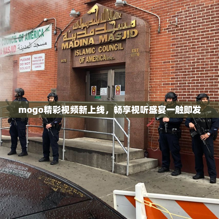 mogo精彩视频新上线，畅享视听盛宴一触即发