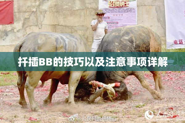 扦插BB的技巧以及注意事项详解