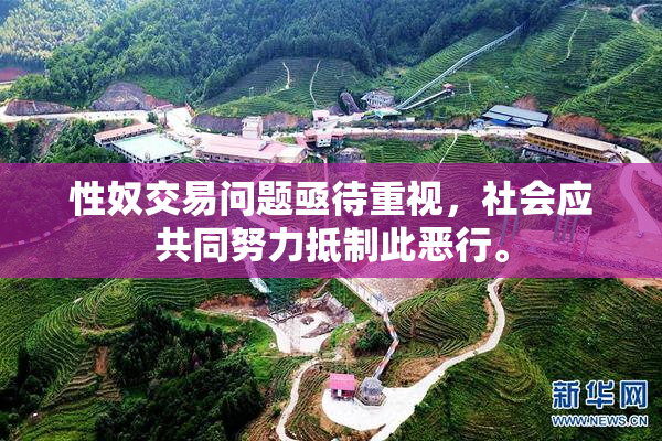 性奴交易问题亟待重视，社会应共同努力抵制此恶行。