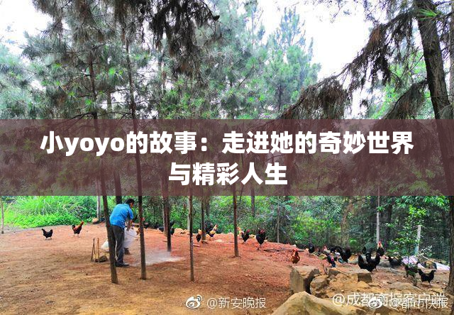小yoyo的故事：走进她的奇妙世界与精彩人生
