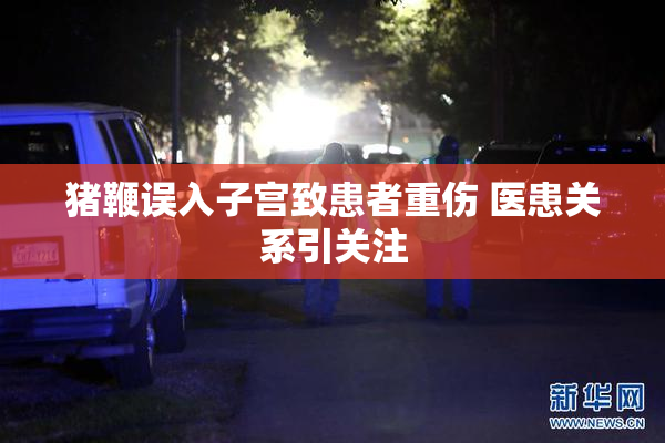 猪鞭误入子宫致患者重伤 医患关系引关注