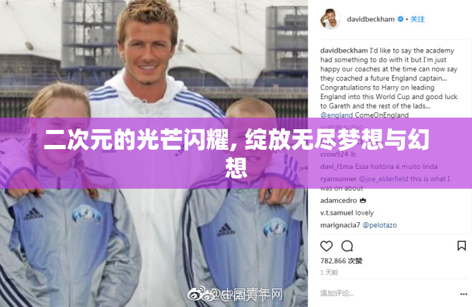 二次元的光芒闪耀, 绽放无尽梦想与幻想