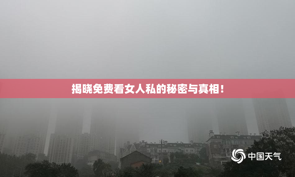 揭晓免费看女人私的秘密与真相！