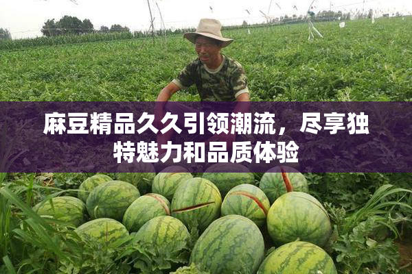 麻豆精品久久引领潮流，尽享独特魅力和品质体验