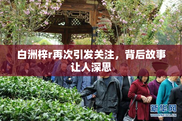 白洲梓r再次引发关注，背后故事让人深思