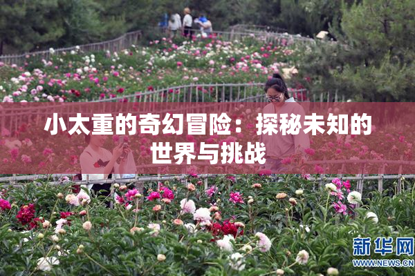 小太重的奇幻冒险：探秘未知的世界与挑战