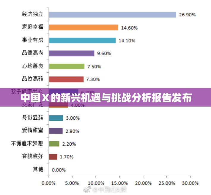 中国Ⅹ的新兴机遇与挑战分析报告发布