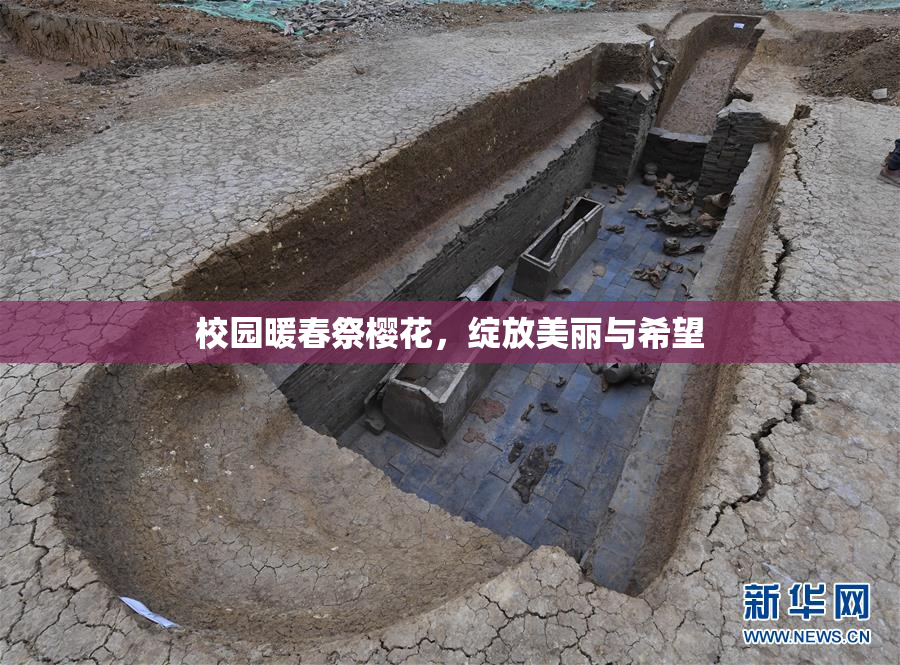 校园暖春祭樱花，绽放美丽与希望