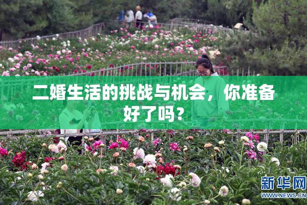 二婚生活的挑战与机会，你准备好了吗？