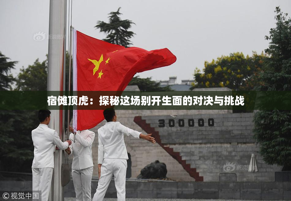 宿傩顶虎：探秘这场别开生面的对决与挑战