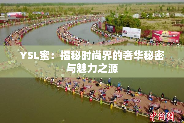YSL蜜：揭秘时尚界的奢华秘密与魅力之源
