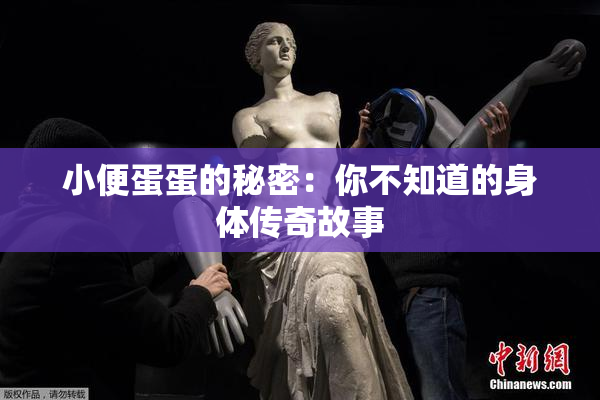 小便蛋蛋的秘密：你不知道的身体传奇故事