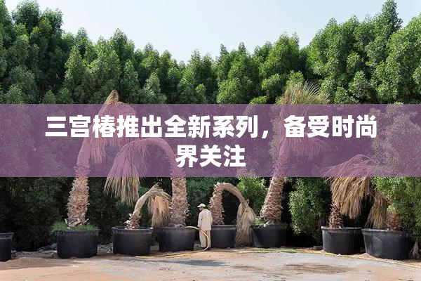 三宫椿推出全新系列，备受时尚界关注