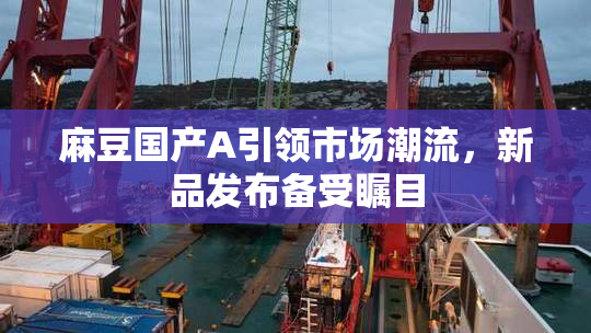 麻豆国产A引领市场潮流，新品发布备受瞩目