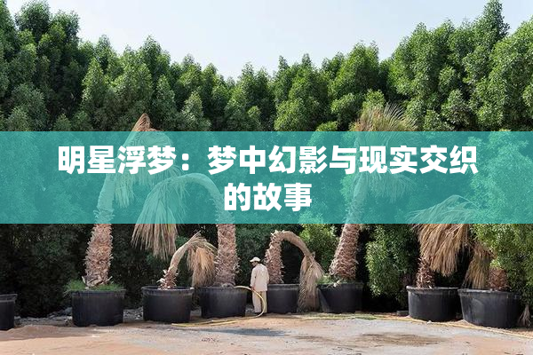 明星浮梦：梦中幻影与现实交织的故事