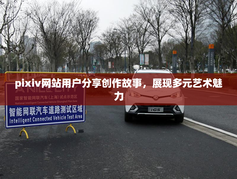 pixiv网站用户分享创作故事，展现多元艺术魅力
