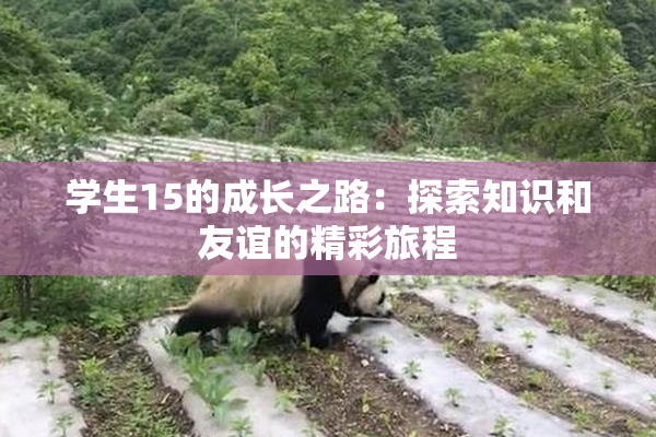 学生15的成长之路：探索知识和友谊的精彩旅程