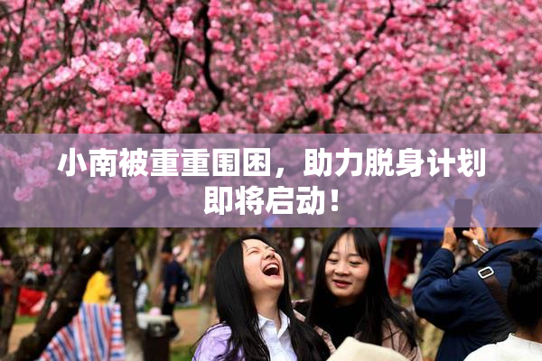 小南被重重围困，助力脱身计划即将启动！