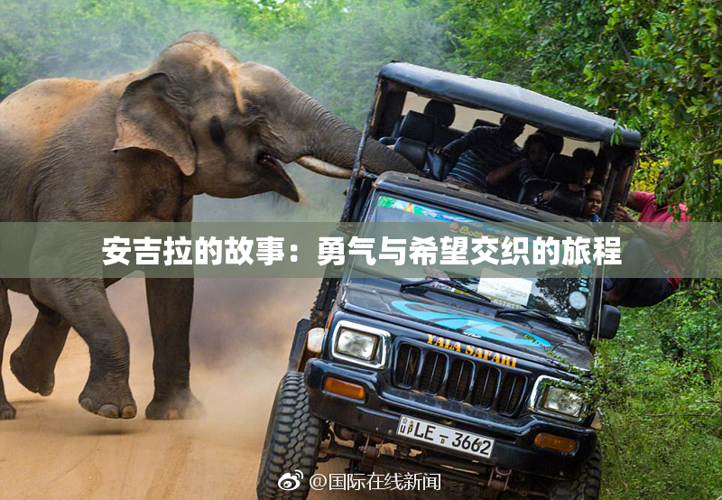 安吉拉的故事：勇气与希望交织的旅程