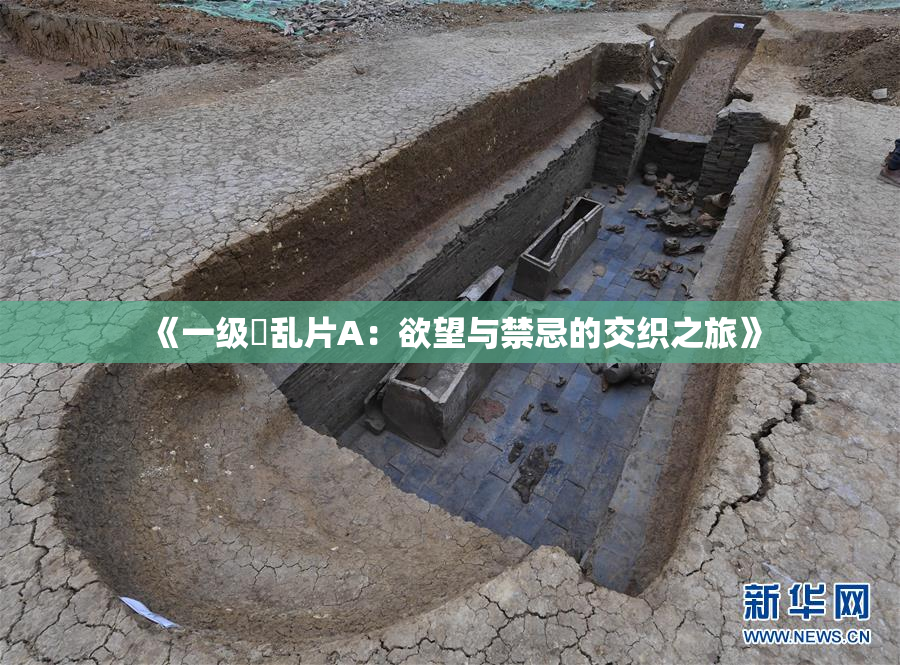 《一级婬乱片A：欲望与禁忌的交织之旅》