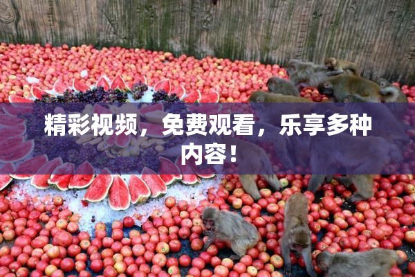 精彩视频，免费观看，乐享多种内容！
