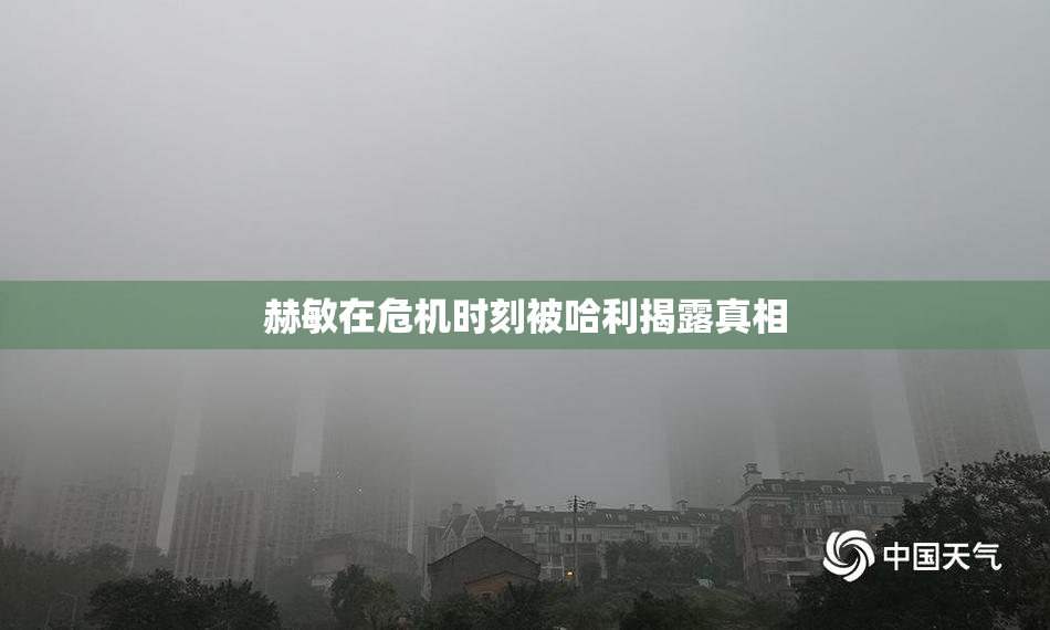 赫敏在危机时刻被哈利揭露真相