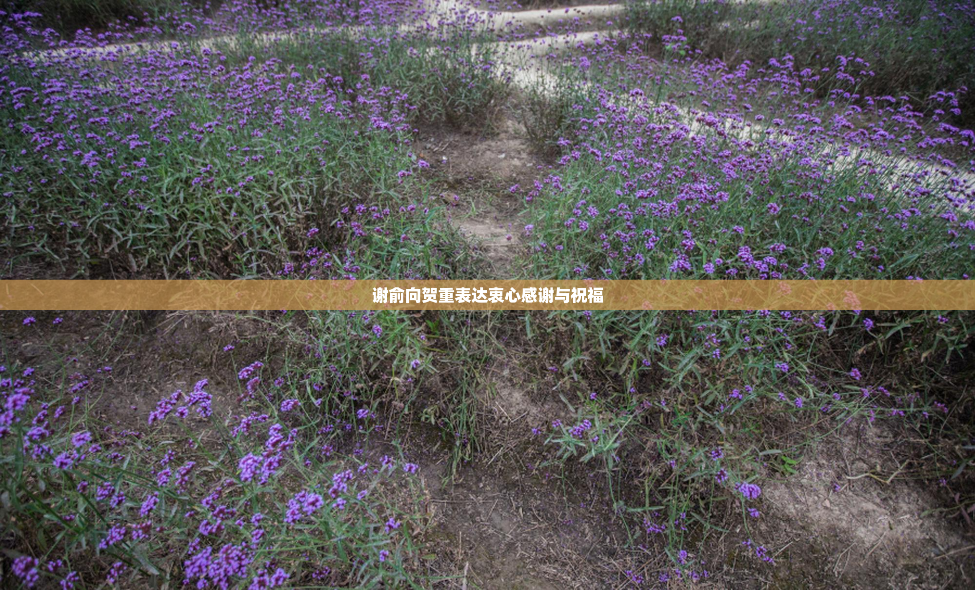 谢俞向贺重表达衷心感谢与祝福