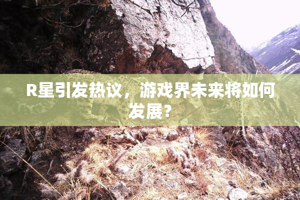 R星引发热议，游戏界未来将如何发展？