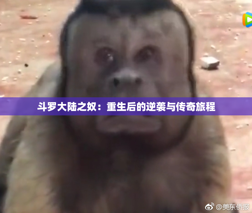 斗罗大陆之奴：重生后的逆袭与传奇旅程
