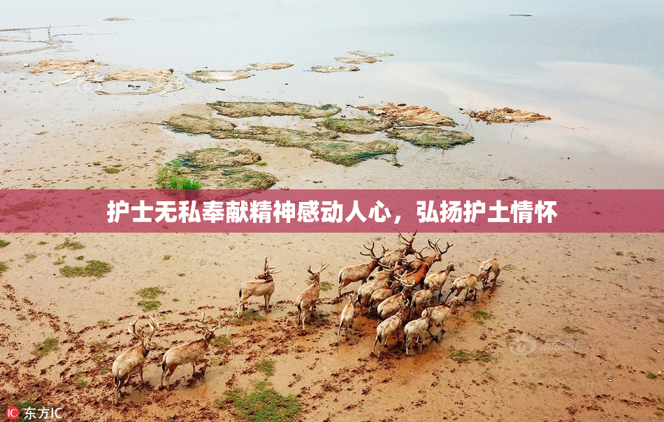 护士无私奉献精神感动人心，弘扬护土情怀
