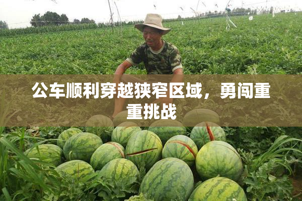 公车顺利穿越狭窄区域，勇闯重重挑战