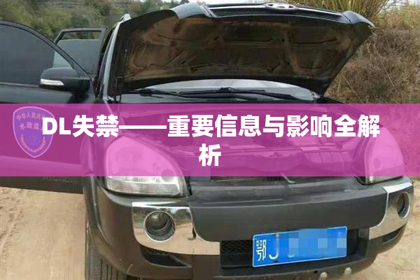 DL失禁——重要信息与影响全解析