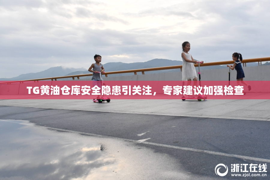 TG黄油仓库安全隐患引关注，专家建议加强检查