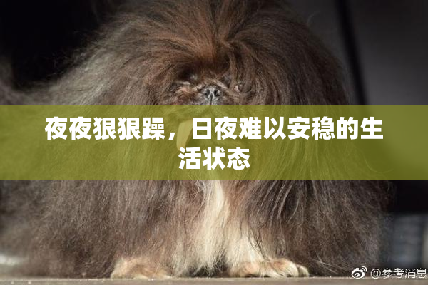 夜夜狠狠躁，日夜难以安稳的生活状态
