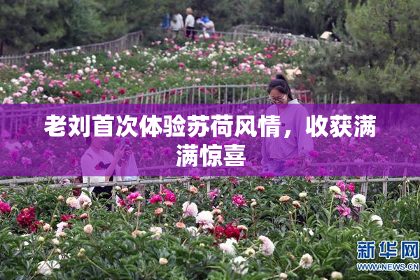 老刘首次体验苏荷风情，收获满满惊喜
