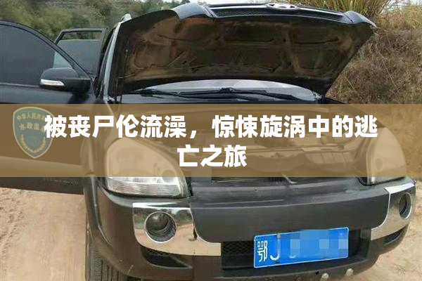 被丧尸伦流澡，惊悚旋涡中的逃亡之旅
