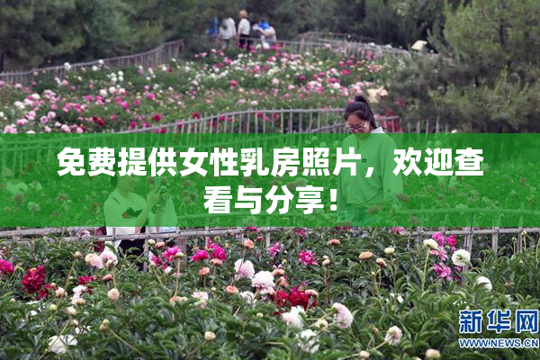 免费提供女性乳房照片，欢迎查看与分享！