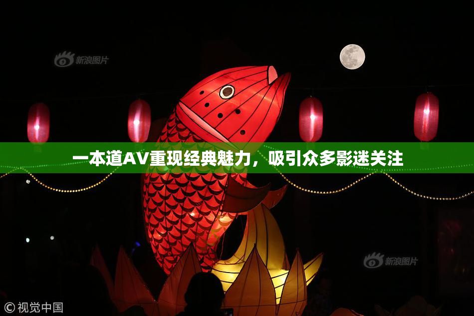 一本道AV重现经典魅力，吸引众多影迷关注